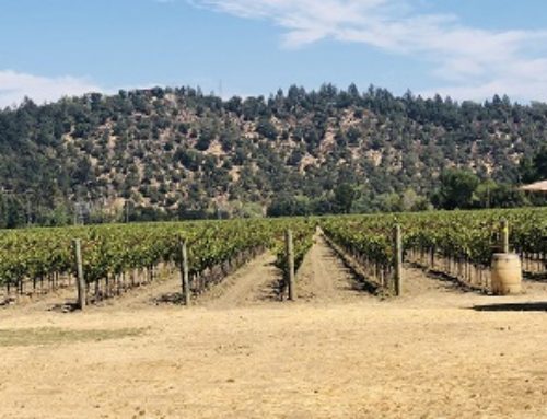 Winery of the Month: Crocker & Starr
