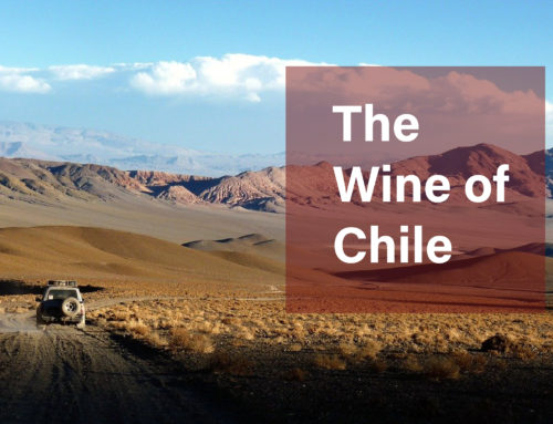 The Wine of Chile